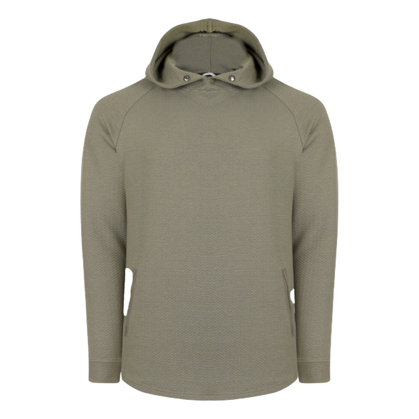 L20003.Olive